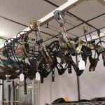 Compound Bows Example Image