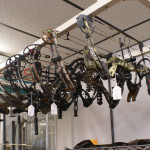 Compound Bows Example Image